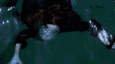 W020201028722518526847.gif