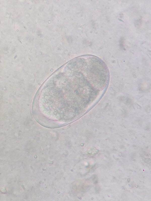 W020201028712143493655.jpg