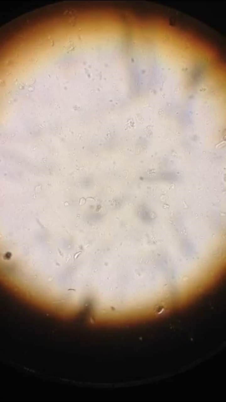 W020201028712143588916.jpg