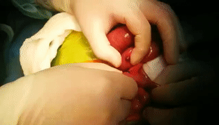 W020201028715955415561.gif